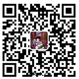 1641890772846956.jpg 1-1Z4111Z40T16.jpg